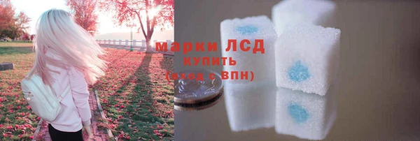 крисы Армянск