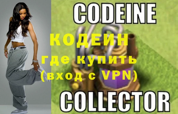 сатива Арсеньев
